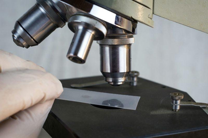 A polished metal sample under a microscope